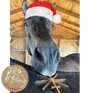 CF energetic Stern der Lebendigkeit T